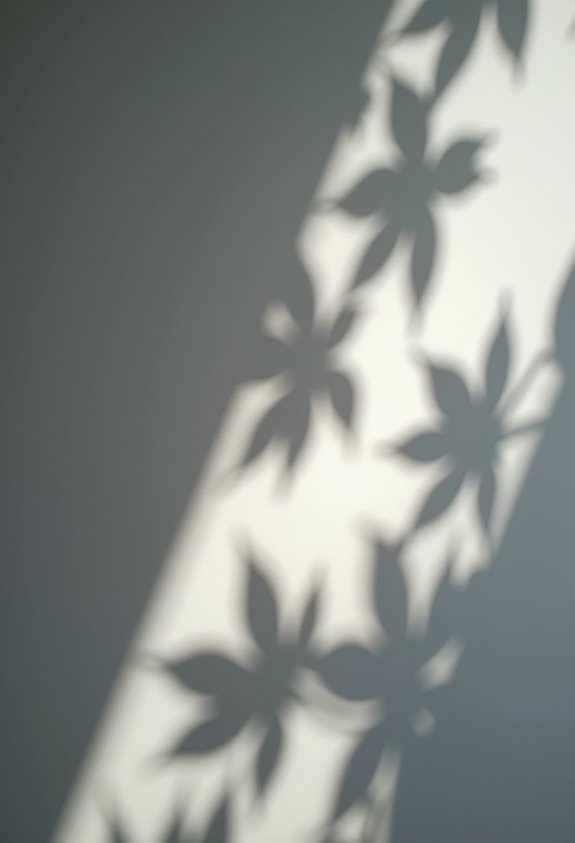 aerial photography dappled shadows